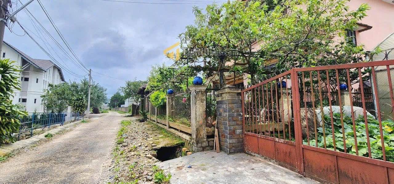 Đất thổ cư 300m² tại Đường Ngô Tất Tố, Đà Lạt - Giá chỉ 16.5 tỷ!