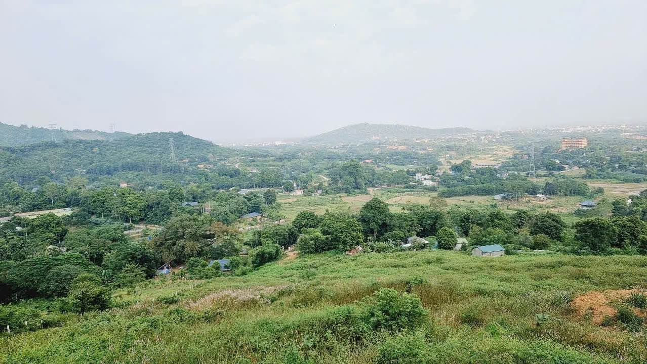 Đất thổ cư và CLN 2,4ha tại Hòa Sơn, Lương Sơn - Giá chỉ từ 1 triệu/m²!