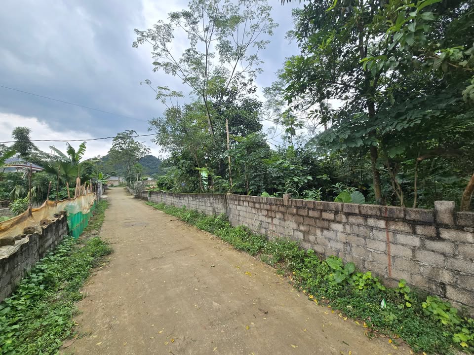 Đất nền Cao Dương - Lương Sơn 152m² giá 600 triệu - Cơ hội đầu tư tuyệt vời!