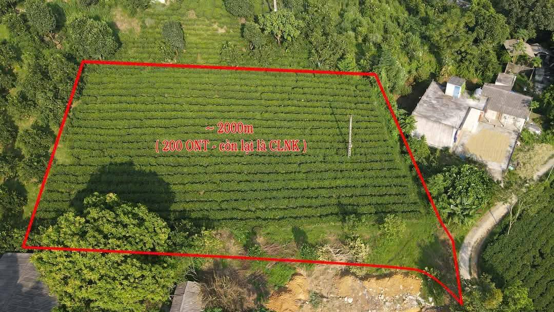 Đất nền Cao Dương Lương Sơn 2000m² - Đầu tư sinh lời dễ dàng!