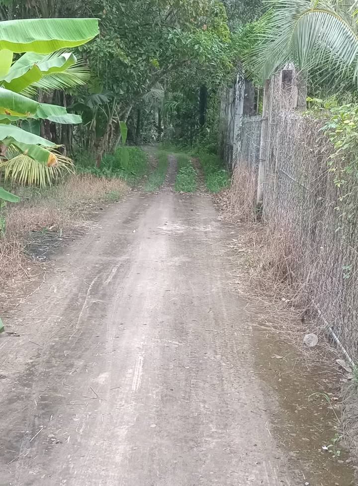 Đất nền 1600m² tại Ô Môn, Cần Thơ - Giá chỉ 1 tỷ, đầu tư sinh lời!