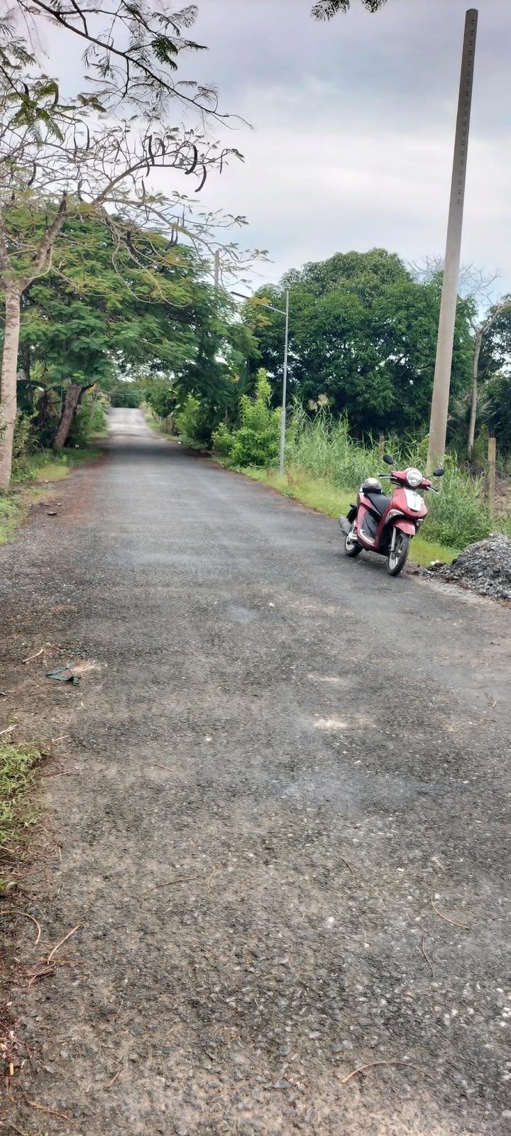 Bán vườn sầu riêng 26.000m² tại Phong Điền - Tiềm năng sinh lời cao!