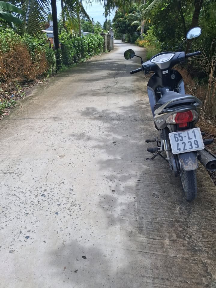 Đất nền 16.000m² Trường Long Tây, Phong Điền - Giá 5.2 tỷ - Đầu tư sinh lời ngay!