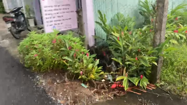 Đất mặt tiền đường Mỹ Tây, Cái Bè, 975m² giá 1.55 tỷ - Cơ hội đầu tư tuyệt vời!