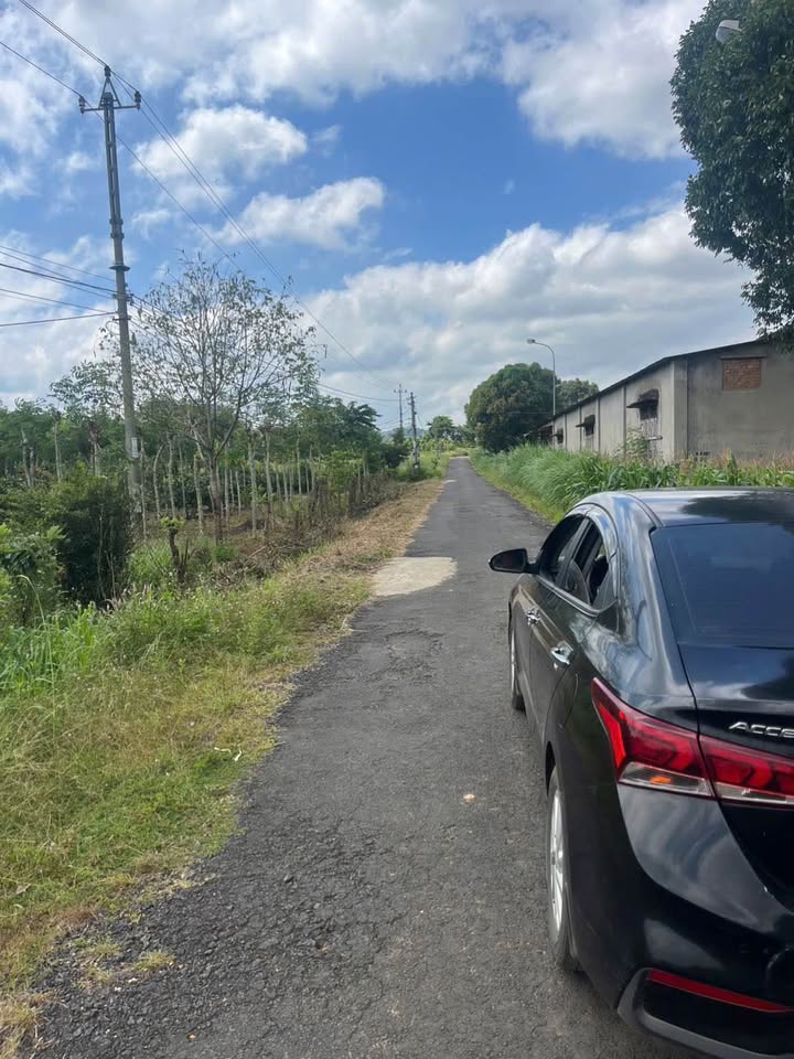 Đất nền Ea T'ling - Cư Jút 1800m² giá chỉ 2 tỷ - Cơ hội đầu tư hấp dẫn!