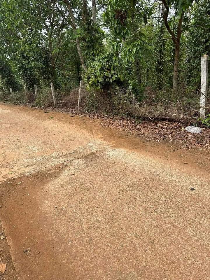 Đất thổ cư 140m² đường Giáp Hải, Buôn Hồ, Đắk Lắk giá 1.55 tỷ - Hướng Tây, vị trí đẹp!