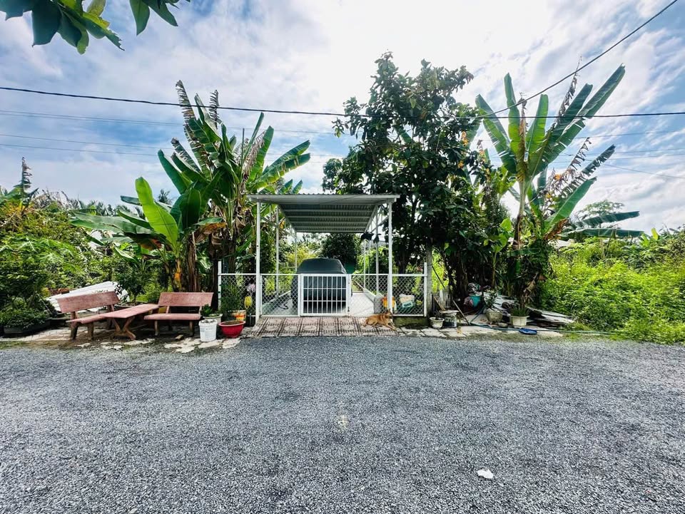 Đất thổ cư đường ô tô - Phường Thanh Đức, Vĩnh Long 99.7m² giá 990 triệu - Sổ hồng chính chủ!