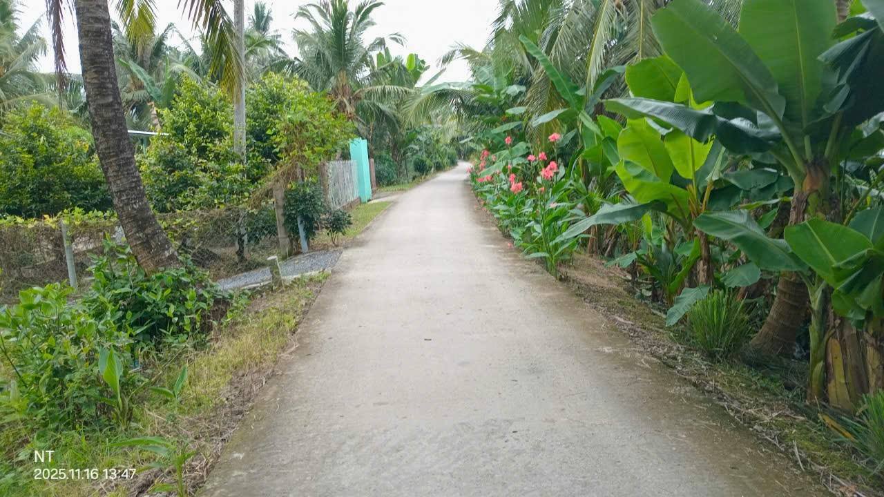 Đất nền thổ cư 132m² tại ấp 4 xã Hậu Lộc, giá 220 triệu - Cơ hội đầu tư hấp dẫn!