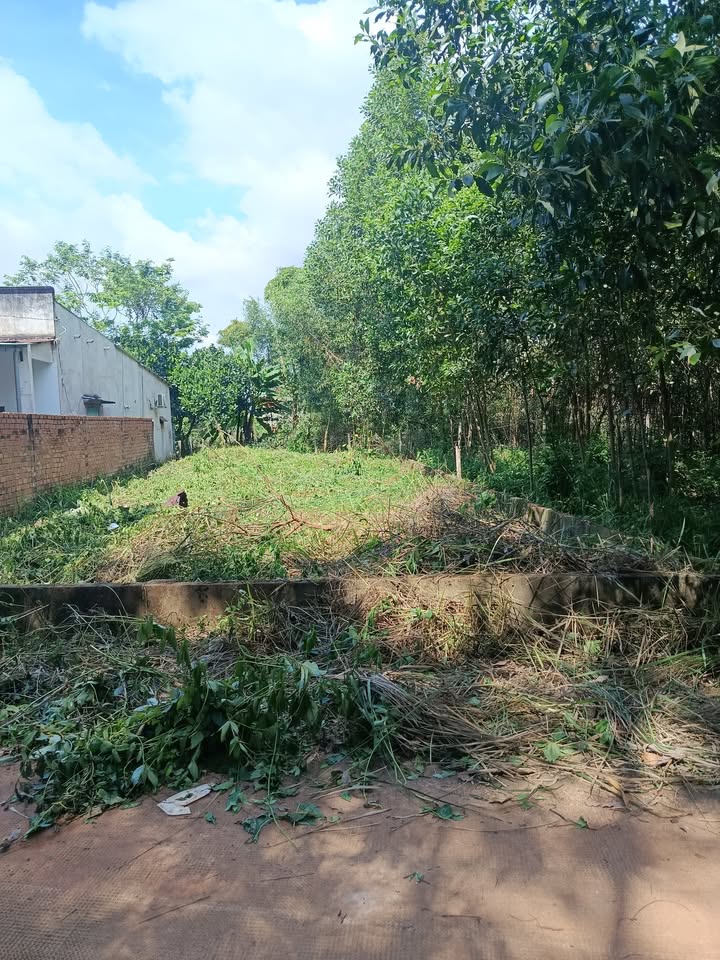 Đất nền Ấp 2 Bàu Cạn 269m² giá 1.3 tỷ - Đầu tư lý tưởng!