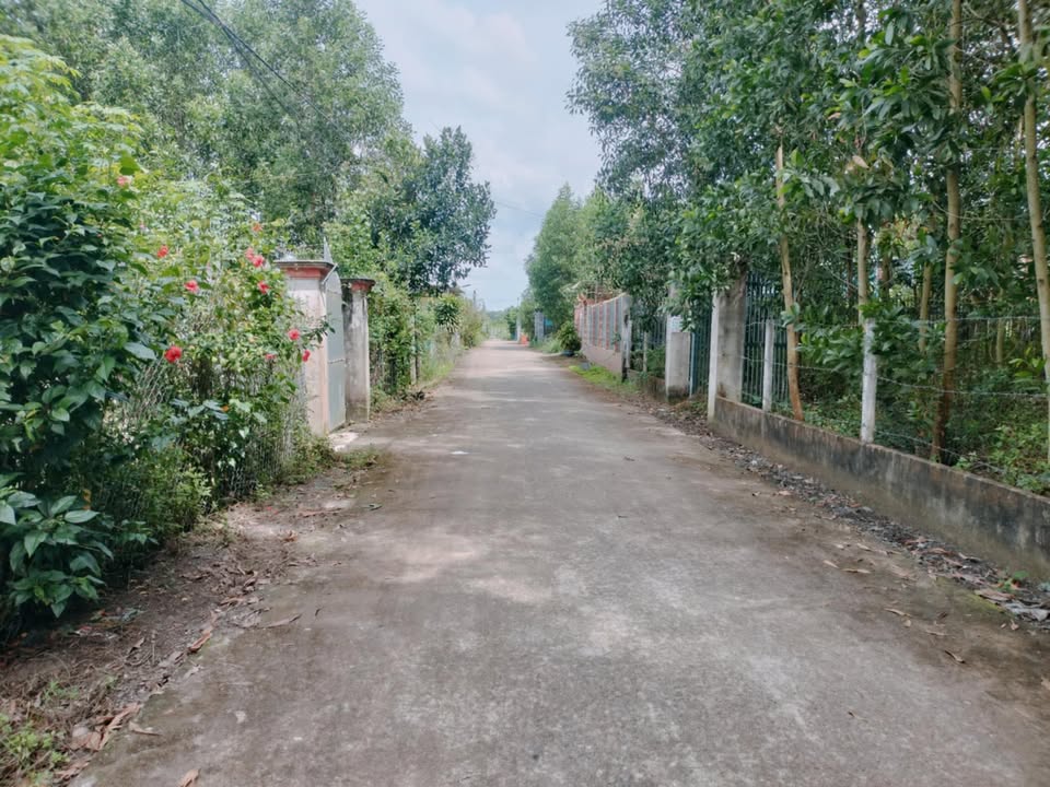 Nhà cấp 4 Bình Sơn, Long Thành 150m² giá thỏa thuận - Gần sân bay chỉ 1km!