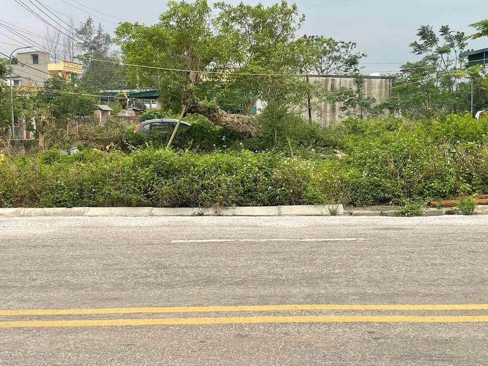 Đất ven biển Hoằng Thanh 210m² - Cơ hội đầu tư sinh lời hấp dẫn!