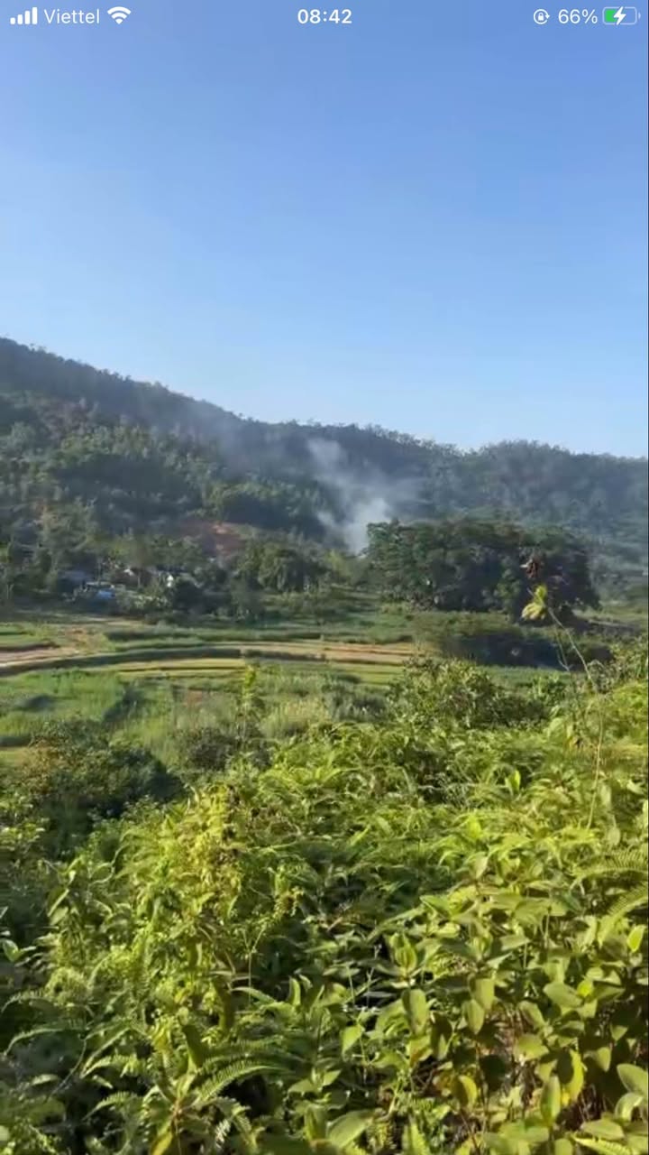 Đất bìa đỏ chính chủ 1,6ha tại Yên Bài, Ba Vì - Giá siêu hấp dẫn!