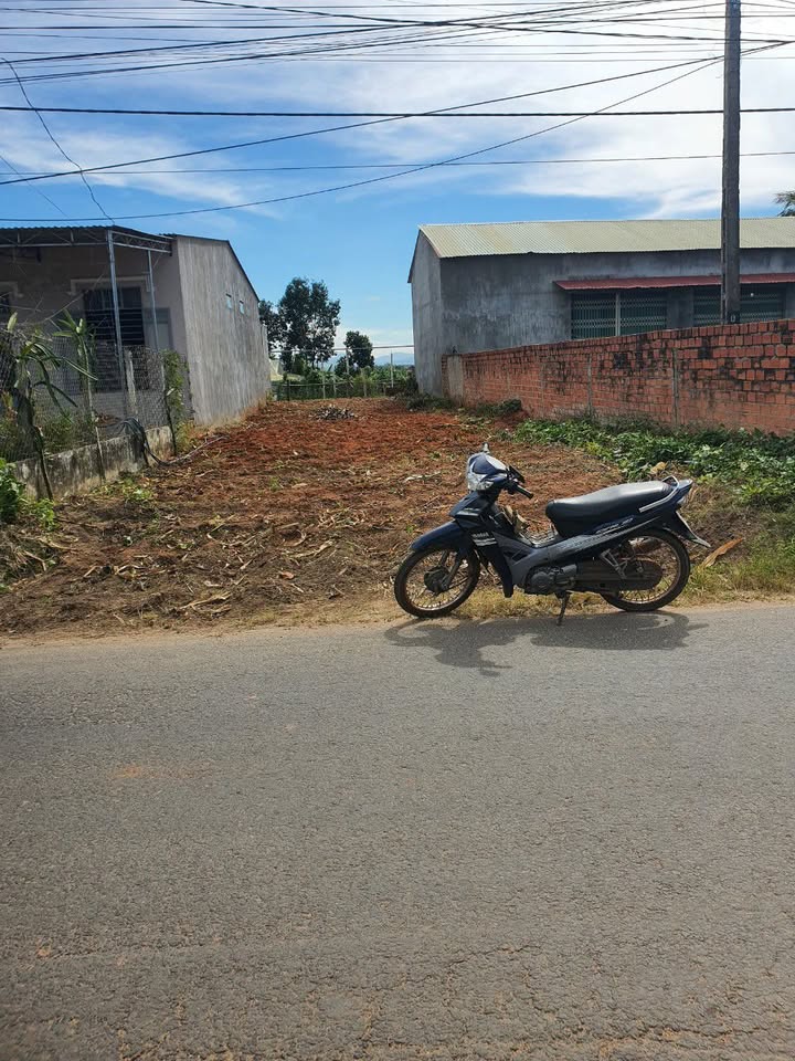 Đất nền mặt tiền đường Lê Hồng Phong, 130m² - Vị trí đắc địa, giao thông thuận lợi!