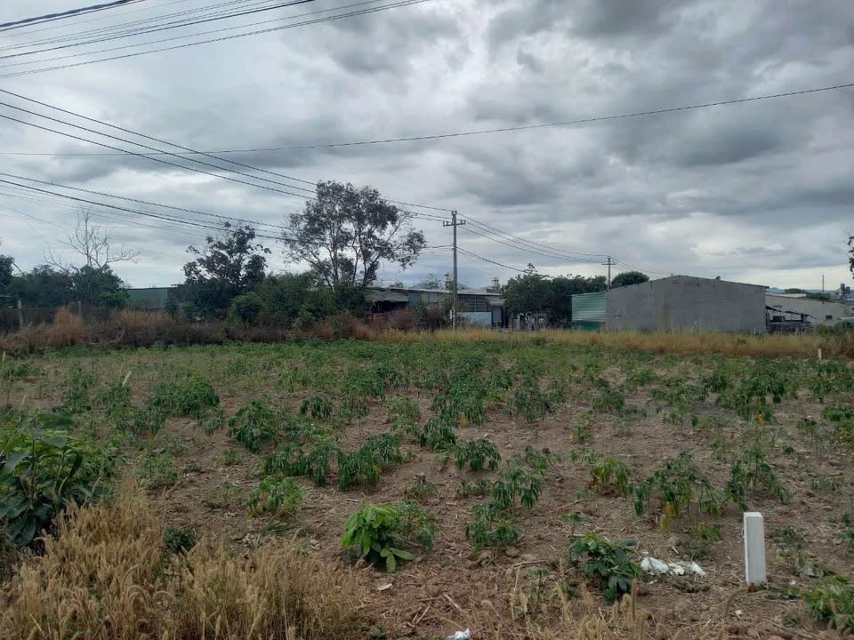 Đất thổ cư 270m² thôn KonrờBàng 1, Vinh Quang, giá 800 triệu - Sổ hồng chính chủ!