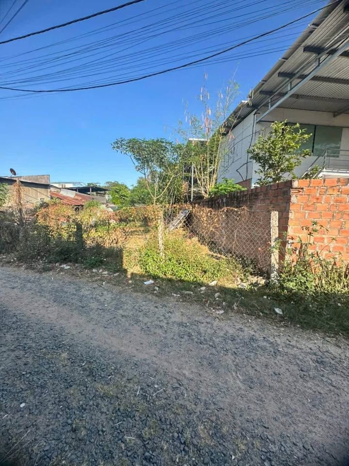 Đất thổ cư Phương Quý 1, xã Vinh Quang, 95m² giá chỉ 2xx triệu - Vị trí đắc địa gần trung tâm!