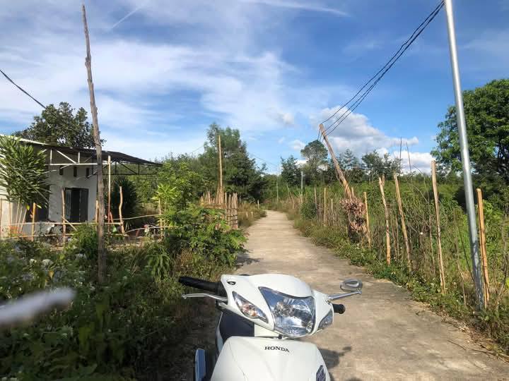 Đất nền Đăk Rơ Wa, Kon Tum 6005.5m² giá 300 triệu - Tặng nhà cấp 4!