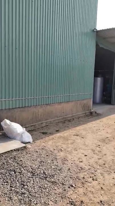 Đất nền 1600m² tại đường 14G, xã Hòa Phong, Đà Nẵng - Tặng nhà xưởng 400m²