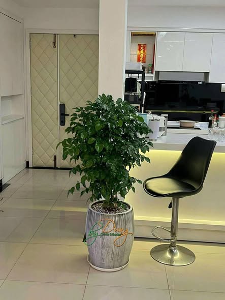 Căn hộ Pegasuite quận 8 - 2PN, 2WC chỉ từ 10 triệu/tháng - Đầu tư an cư lý tưởng!