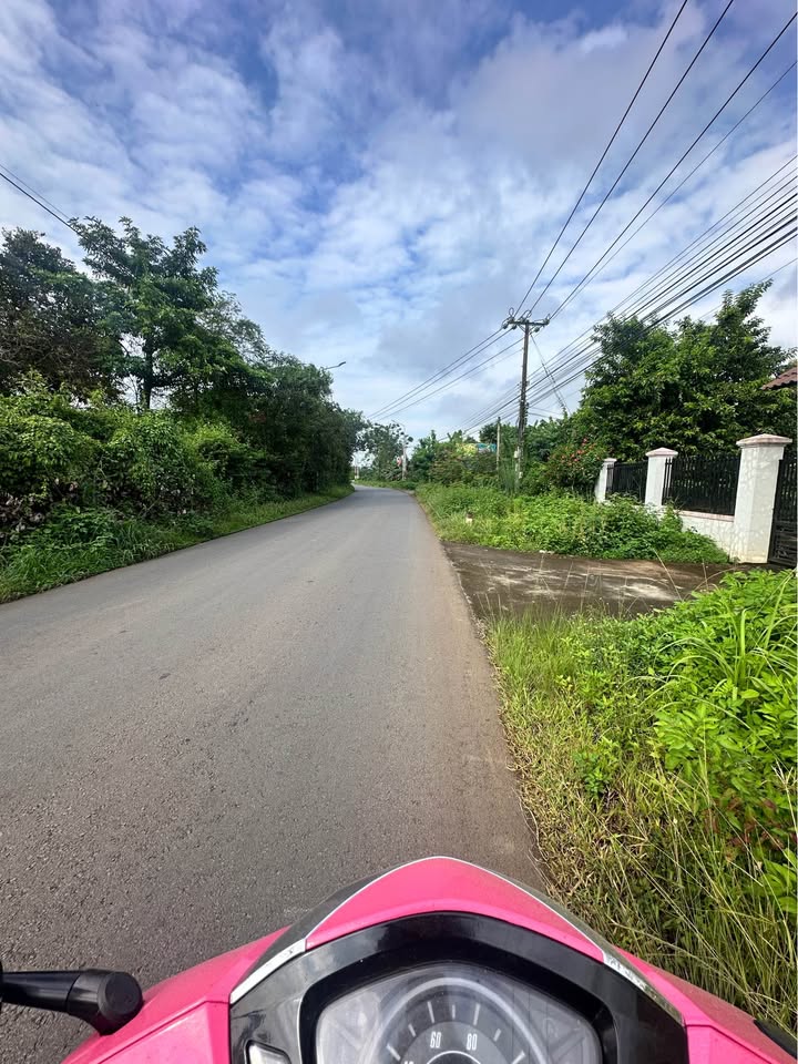 Đất nền mặt tiền đường nhựa xã Phú Hòa, 250m² chỉ 880 triệu - Cơ hội đầu tư tuyệt vời!