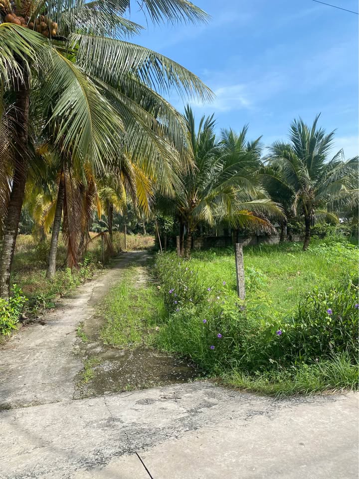 Đất 2 mặt tiền Cột Cờ Long Hoà A, 138m² chỉ 1.2 tỷ - Đầu tư sinh lời!