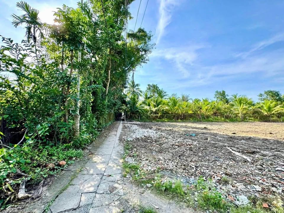 Đất nền Long Hoà A, xã Đạo Thạnh, 90m² giá chỉ 700 triệu - Cơ hội đầu tư hấp dẫn!