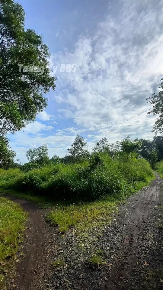 Đất nền Tây Hòa 3.894m² giá 2.1 tỷ - 2 mặt tiền đường thuận lợi!