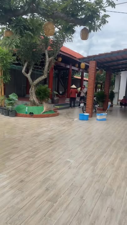 Nhà vườn ấp 5 Hòa Phú 1013m² giá 5.9 tỷ - Sẵn sàng vào ở ngay!