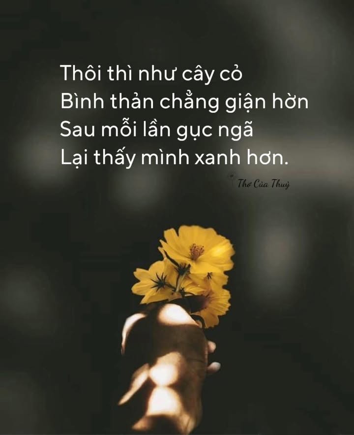 Đất thổ cư 140m² mặt tiền Nguyễn Thông, Châu Thành, Long An - Giá 3 tỷ thương lượng