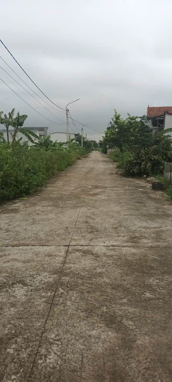 Đất nền Ninh Tiến, Hoa Lư 90m² - Chính chủ bán gấp!