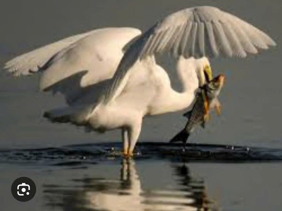 Đất nền thổ cư Phường Tân An Cần Thơ 100m² giá 2.29 tỷ - Vị trí vàng gần hồ