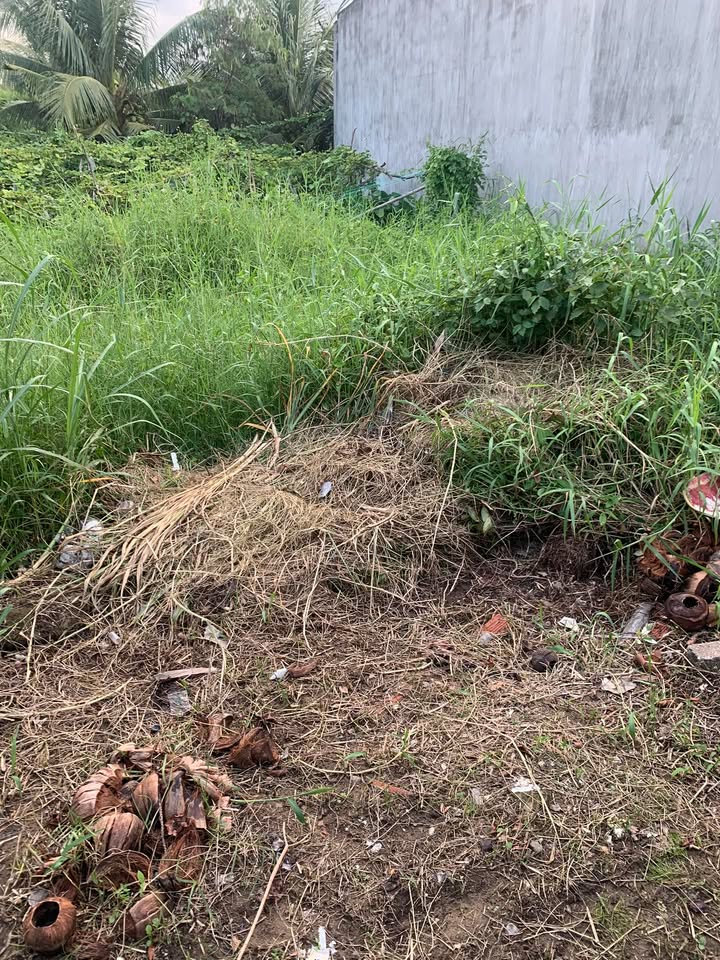 Đất nền Phú Khương, Bến Tre 100m² giá 9 tỷ - Đầu tư sinh lời ngay!