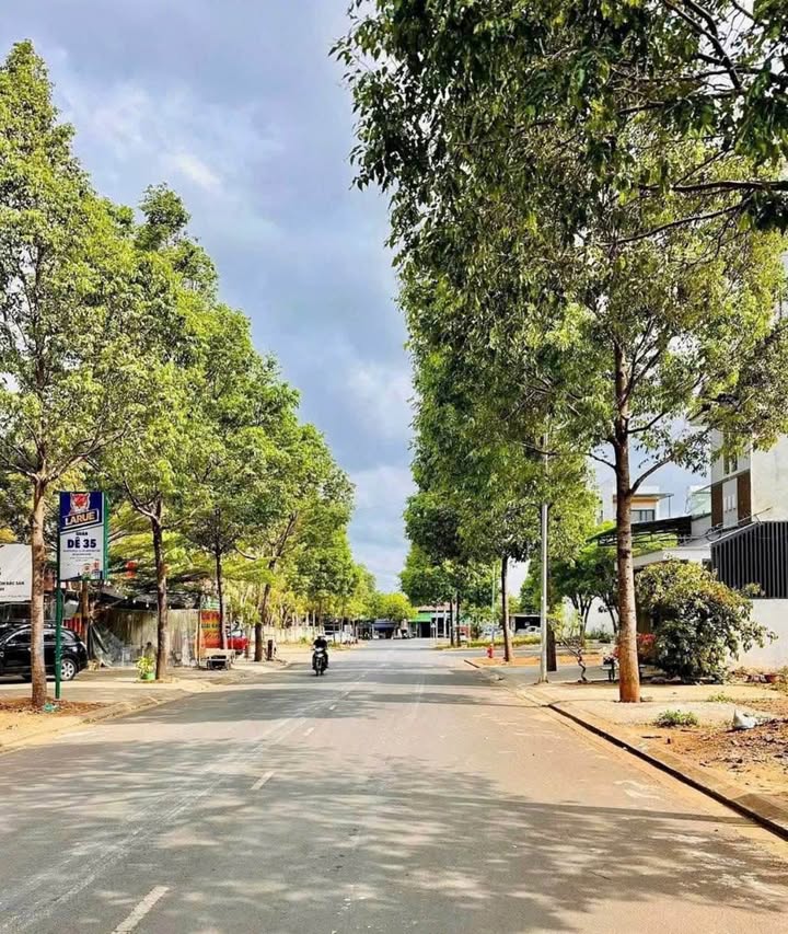 Đất mặt tiền Đào Doãn Dịch, Buôn Ma Thuột 115m² giá 3.95 tỷ - Đầu tư sinh lời!