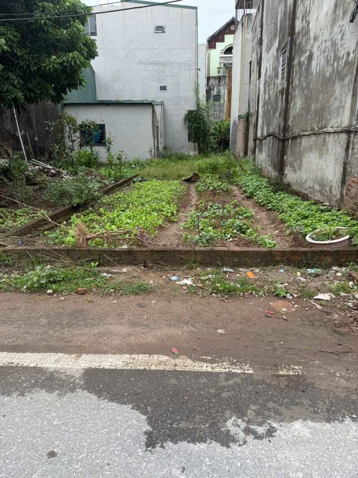 Đất nền Xuân Hòa, Phúc Yên 70m² giá 1 tỷ - Cơ hội đầu tư hấp dẫn!