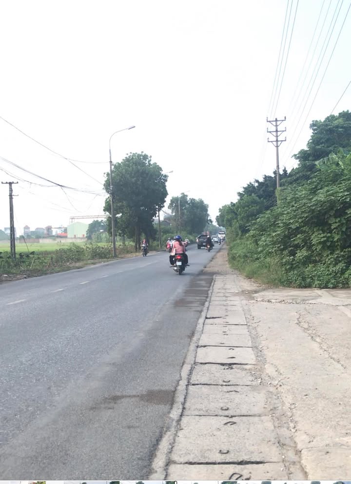 Đất nền Trung Kiên, Sóc Sơn 80m² chỉ 1.42 tỷ - Ô tô vào tận đất!