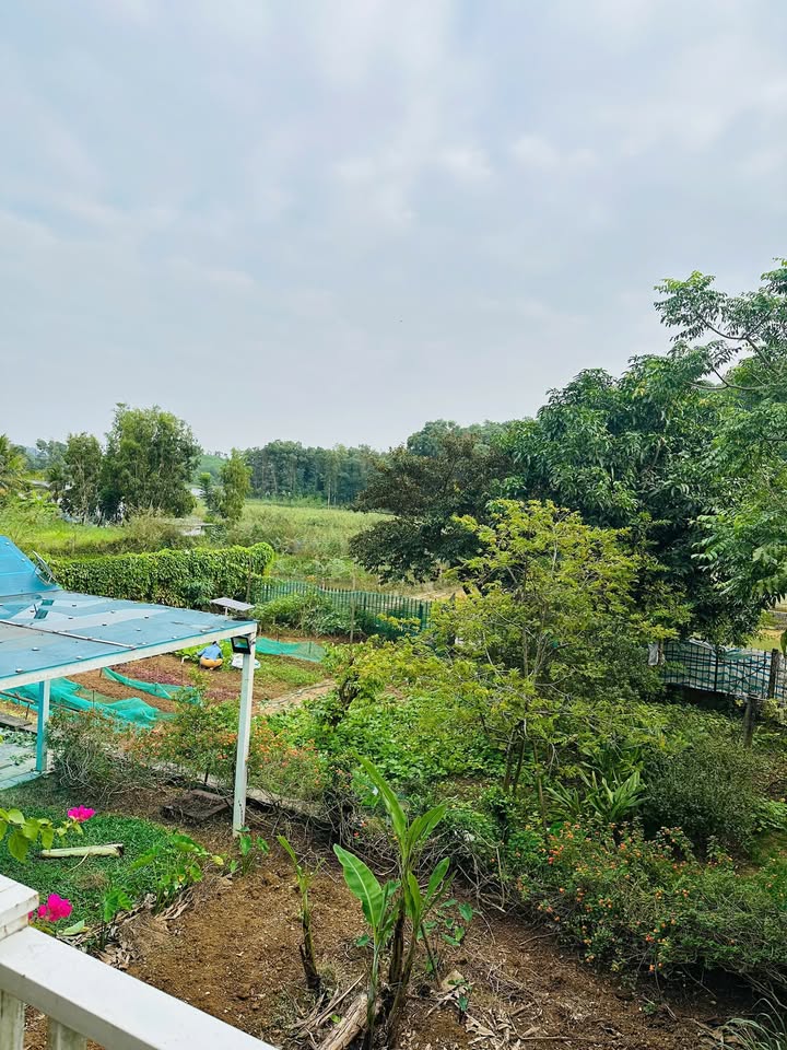 Bán biệt thự Lòng Hồ Sơn Tây 2000m² - Đầu tư sinh lời tuyệt vời!