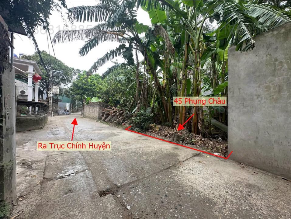 Đất Phụng Châu, Chương Mỹ 45m² giá 3 tỷ - Đất vuông vắn, đẹp không góc chết!