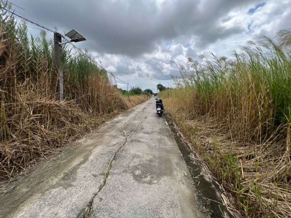 Đất nền ấp Năm Châu, Gò Công Đông 162m² giá 590 triệu - Sổ hồng chính chủ!