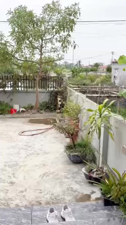 Đất nền Đồng Quang, Gia Lộc 320m² - Giá thỏa thuận, vị trí đắc địa!