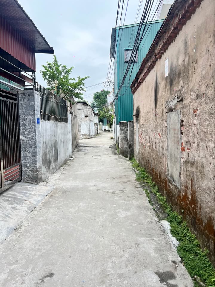 Đất nền Việt Hòa Hải Dương 68m² giá chỉ 1.1 tỷ - Cơ hội đầu tư tốt nhất!