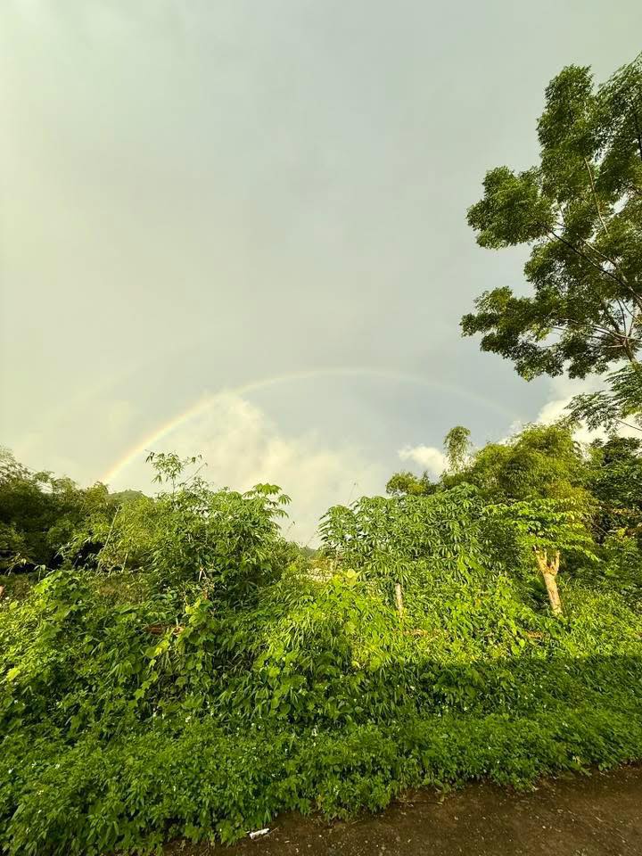 Đất nền farm 1,1ha xã Bảo Hiệu, Hòa Bình giá 1,9 tỷ - Tiềm năng đầu tư cao!