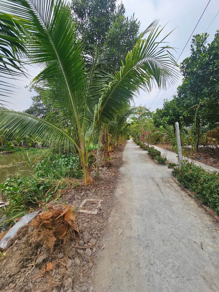 Đất nền 307.4m² ấp Tân Phước, xã Giục Tượng - Đầu tư sinh lời ngay hôm nay!