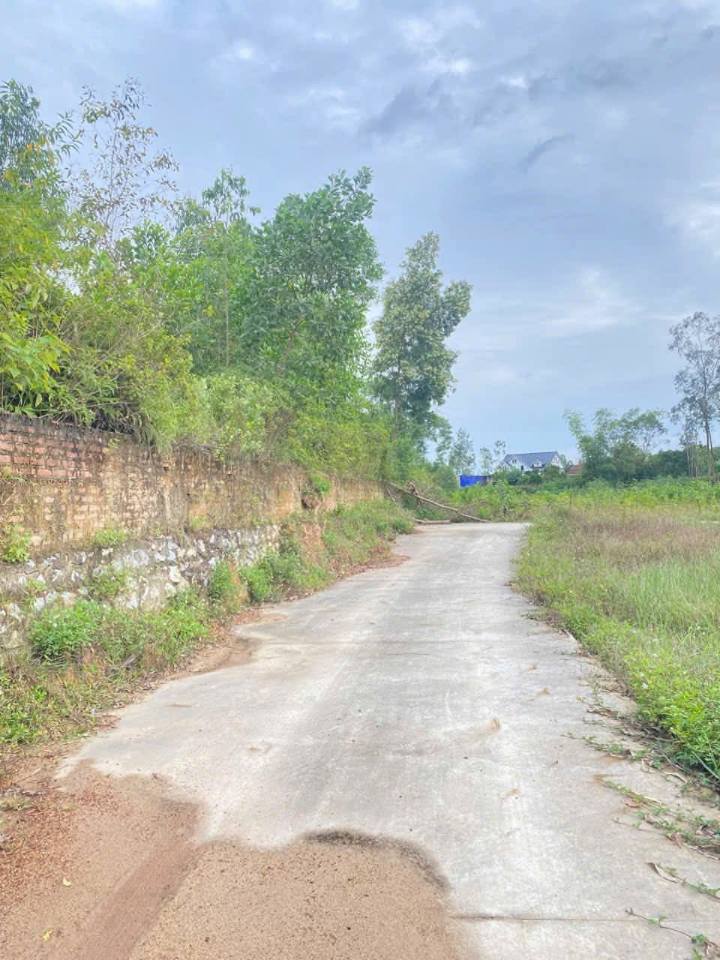 Đất thổ cư Vạn Phái 204m² giá tốt - Cần bán gấp!