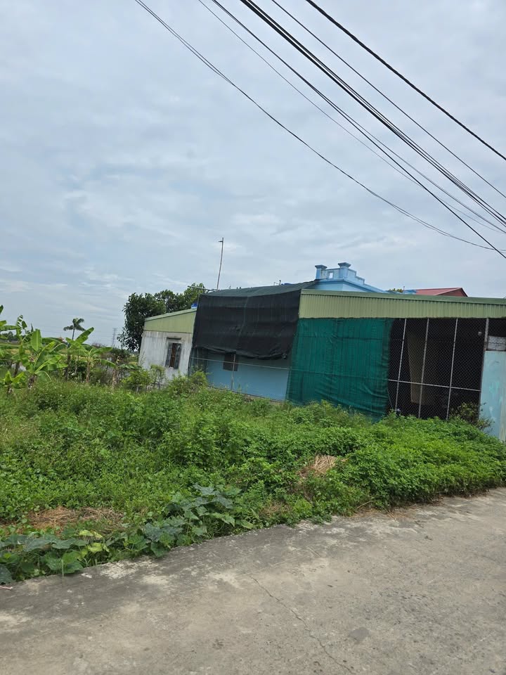 Đất đẹp Duyên Hải Hưng Hà 124,5m² giá chỉ 700 triệu - Tiềm năng sinh lời cao!