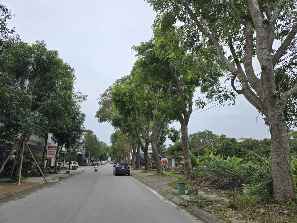 Lô đất đẹp MB1811 Đông Vệ 88m² - Kinh doanh sầm uất ngay trung tâm!