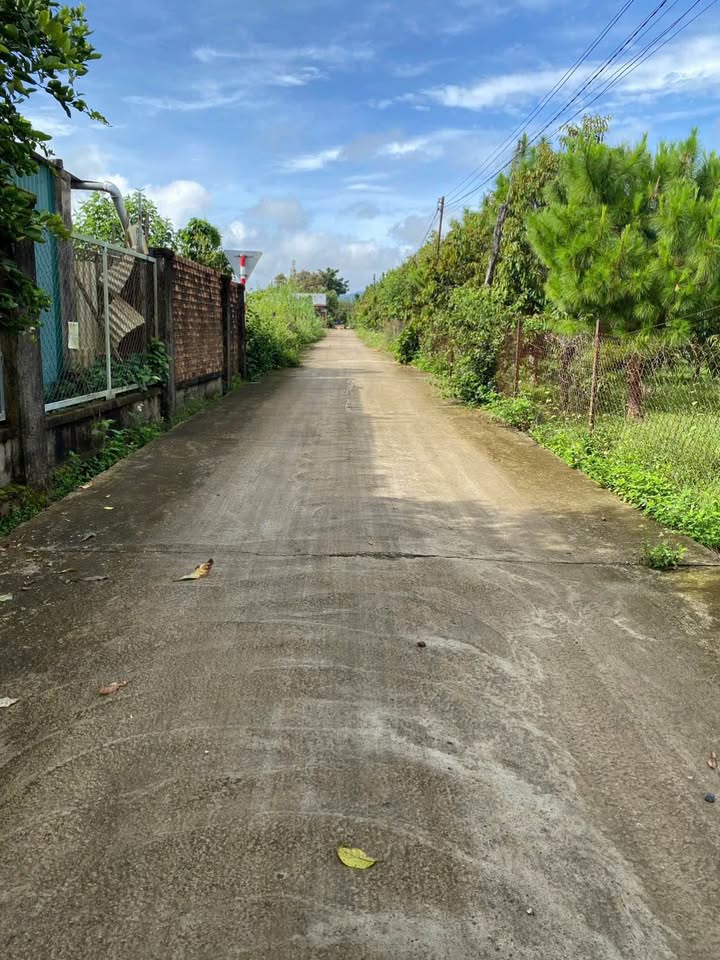 Đất nền Lộc Châu, Bảo Lộc 577.1m² giá 1.7 tỷ - Đầu tư lý tưởng!