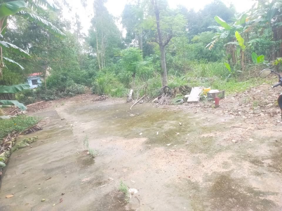 Đất nền Hòa Tiến Đà Nẵng 169m² giá 800 triệu - Đường ô tô, an ninh tốt!