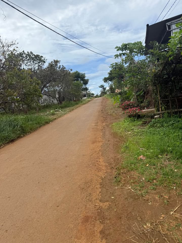 Đất thổ cư 250m² Nhân Cơ Đắk R'Lấp giá 550 triệu - Đường nhựa thông thoáng!