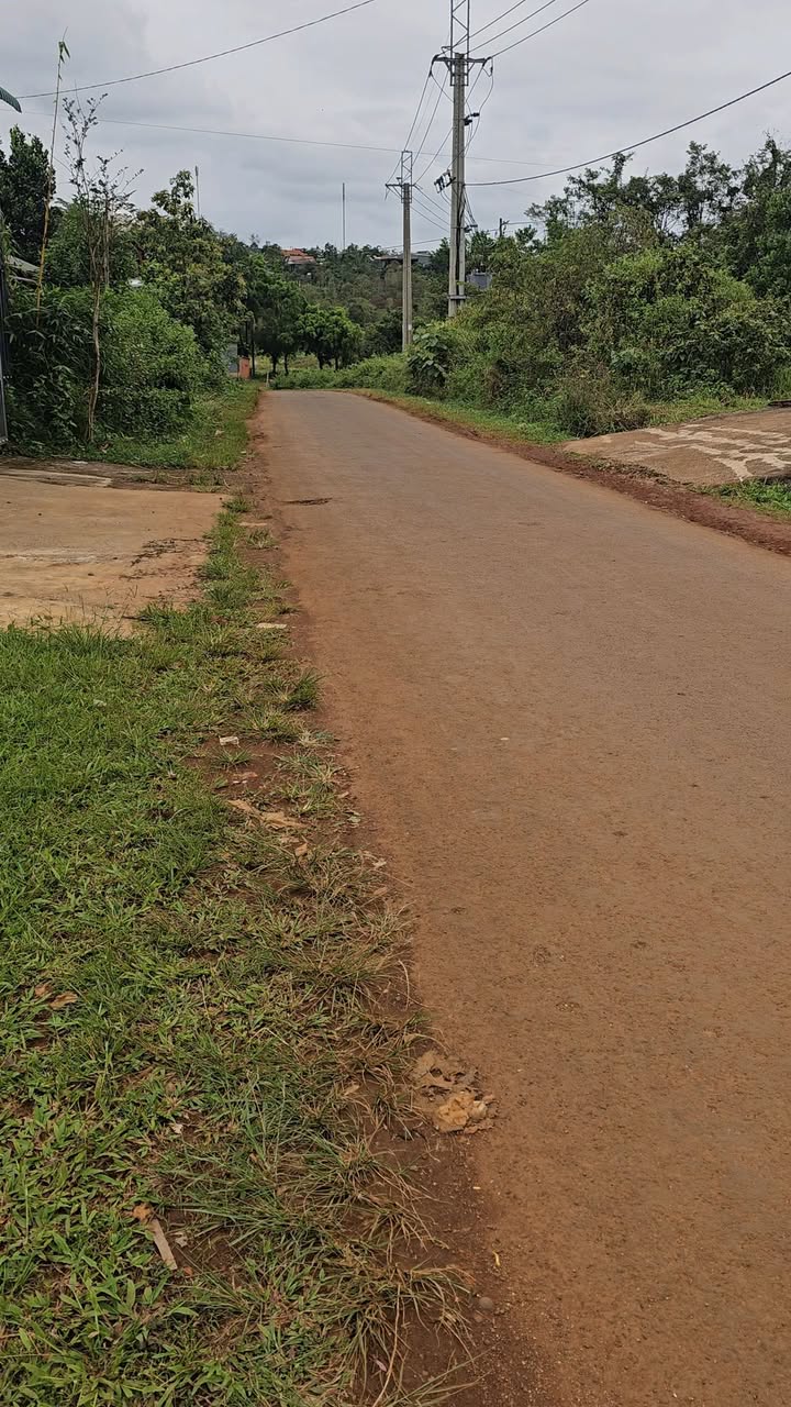 Đất thổ cư 350m² tại Đắk Wer, Đắk R'Lấp - Giá chỉ 649 triệu, thương lượng ngay!