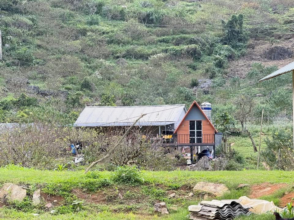 Đất Farm Mộc Sơn 1050m² chỉ 1 tỷ - Cơ hội đầu tư hiếm có!