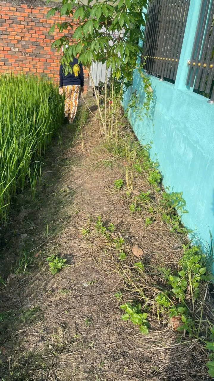 Đất nông nghiệp 776m² tại Nhựt Chánh, Bến Lức - Chỉ 295 triệu!